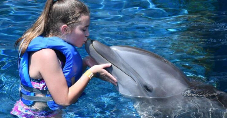 Hurgahda: Dolphin Tour & Banana Boat Fun With Snorkeling - Unforgettable Activity Experience Highlights