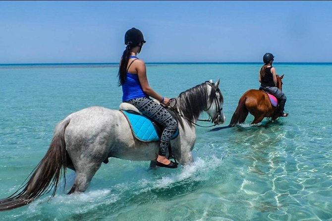 Hurghada: 2 Hours Camel and Horse Riding Adventure on The Sea. - Inclusions and Fees