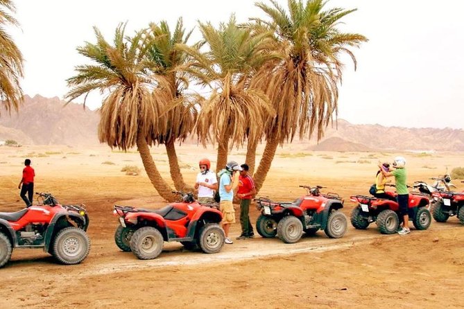 Hurghada: 3-Hour Morning Quad Safari - Pricing Information