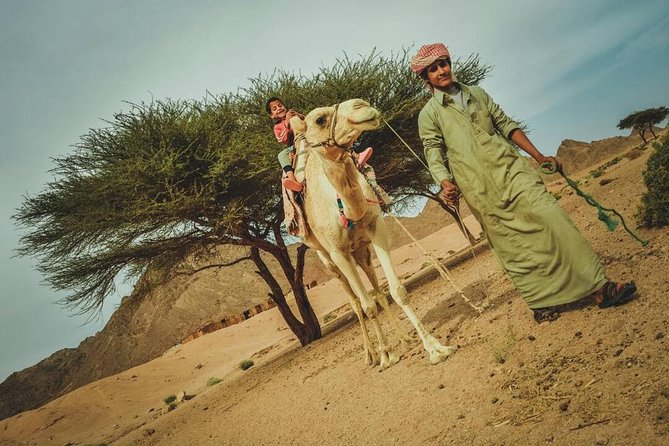 Hurghada: (4x4 Jeep) and Quad Biking Plus Bally Dancer, Dinner - Meeting and Pickup