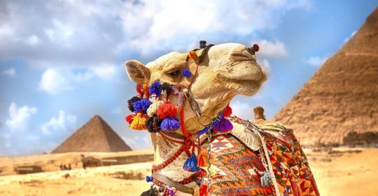 Hurghada: Camel Ride Along Pyramids of Giza & Cairo Museum - Highlights