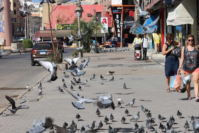 Hurghada City Tour - Good To Know