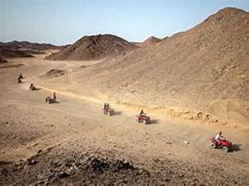 Hurghada Desert & ATV Half-Day Adventure with Bedouin Dinner - Who will enjoy this outing most