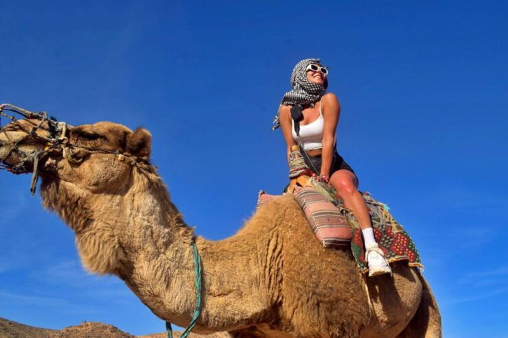 Hurghada: Desert Quad, Bedouin Village, and Camel Ride Tour - Experience Highlights