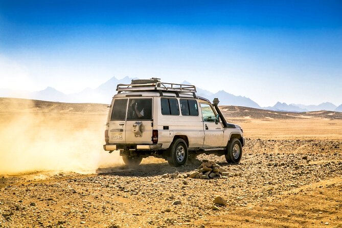 Hurghada Desert Safari Experience, ATV Quad, Camel Ride & Dinner - Pricing Information