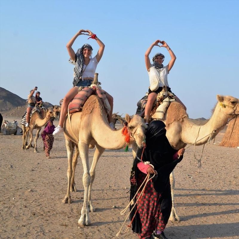 Hurghada Desert Safari Half-Day Adventure with Camel Ride - Is the price good value?