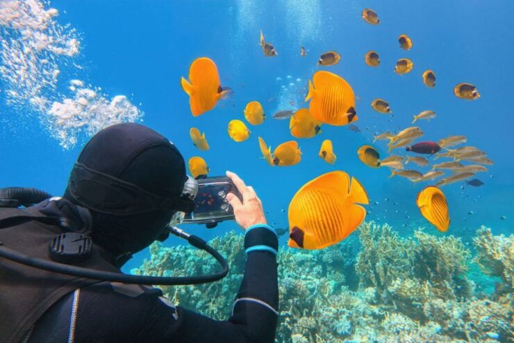 Hurghada: Diving & Snorkeling Cruise Tour W Lunch & Drinks - Experience Highlights