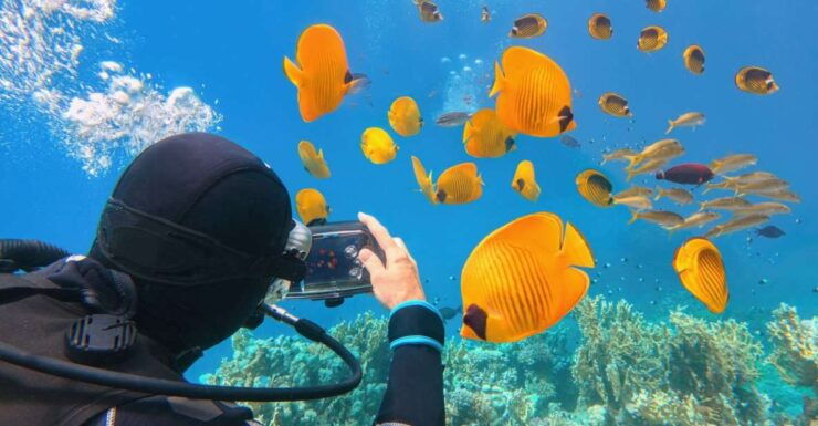 Hurghada: Diving & Snorkeling Cruise Tour W Lunch & Drinks - Activity Duration and Timing