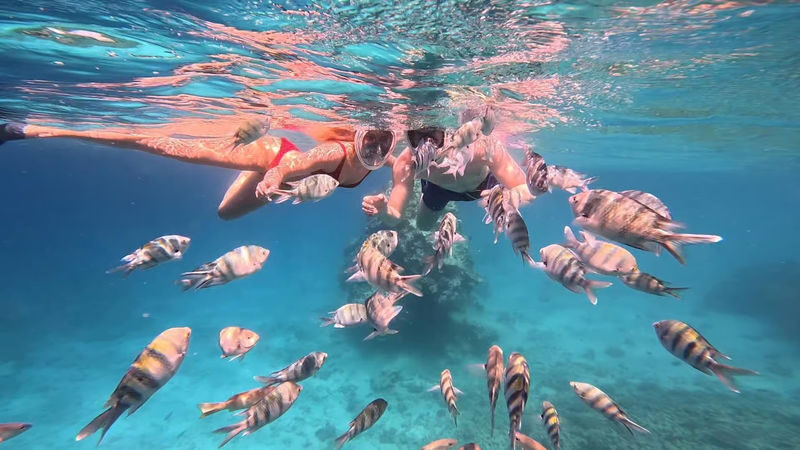 Hurghada Dolphin House Full-Day Snorkeling with Lunch - A full day shaped by the Red Sea