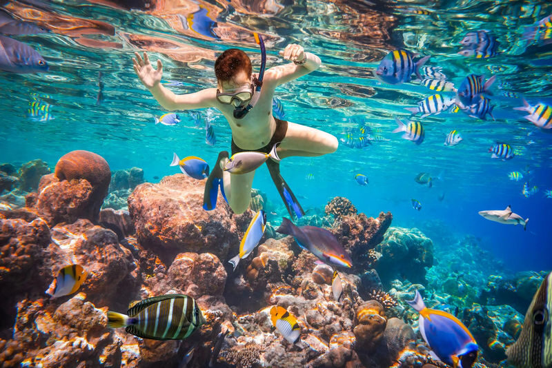 Hurghada Dolphin House Full-Day Snorkeling with Lunch - Who should book this Hurghada boat trip?