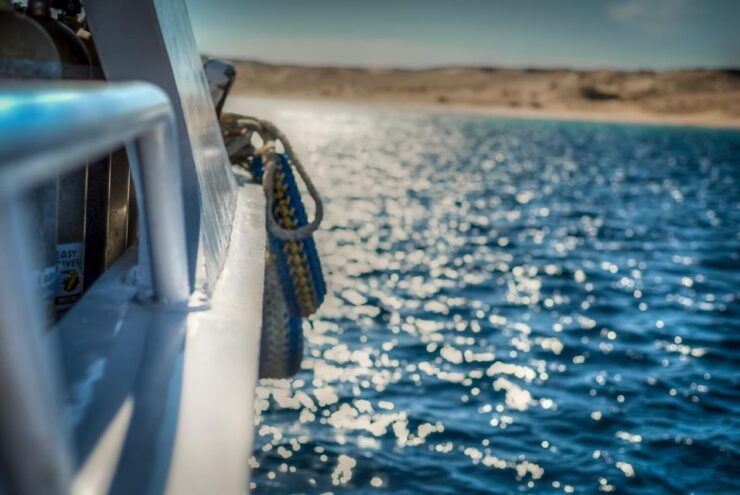 Hurghada: Dolphin House Snorkeling Trip With Water Sports - Trip Overview