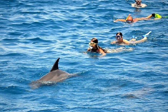 Hurghada Dolphin Watching and Snorkeling Full-Day Experience (Feb ) - Inclusions