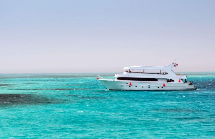 Hurghada: Dolphin Watching Boat Tour With Snorkeling & Lunch - Tour Highlights