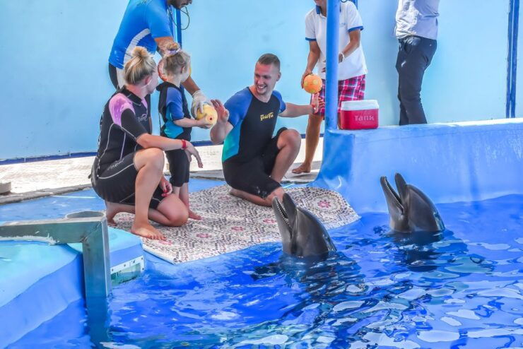 Hurghada: Dolphin World Family Swimming With Pickup - Experience Highlights