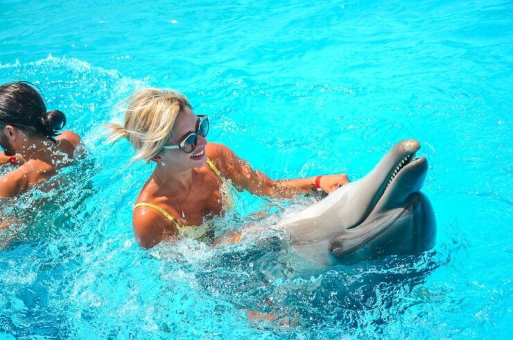 Hurghada: Dolphin World Photos Session With Pickup - Experience Highlights
