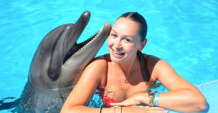 Hurghada: Dolphin World Private Swimming With Transfers - Experience Information