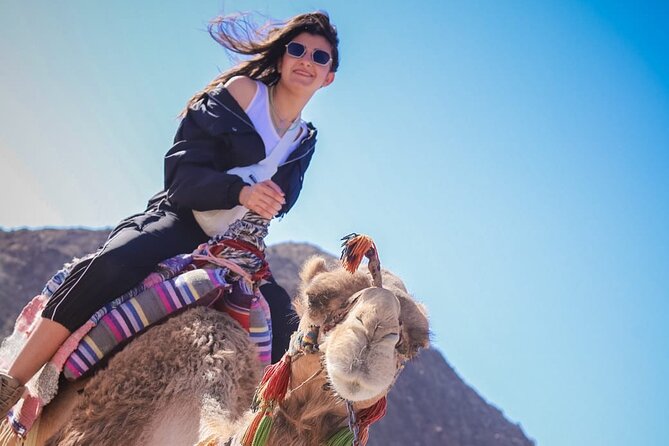 Hurghada Full Day Desert Tour - Tour Highlights
