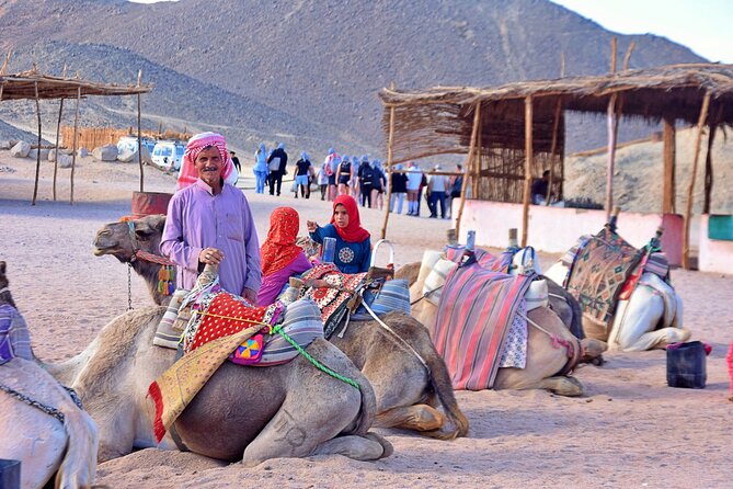 Hurghada: Full Day Jeep, Quad Bike, Buggy and Bedouin Dinner - Logistics and Requirements