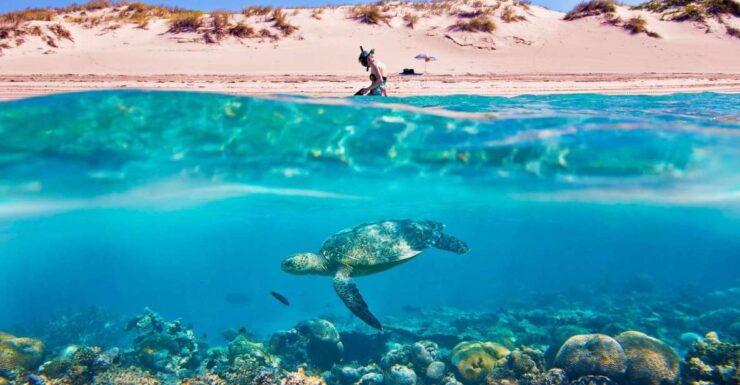 Hurghada: Giftun Island Tour With Snorkeling & Buffet Lunch - Activity Highlights