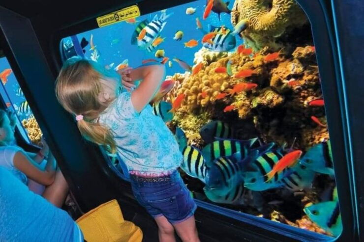 Hurghada: Glass Boat Snorkeling & Stargazing Trip W/ Dinner - Activity Details