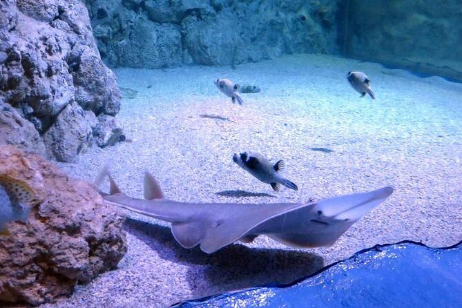 Hurghada Grand Aquarium - Entry Fees