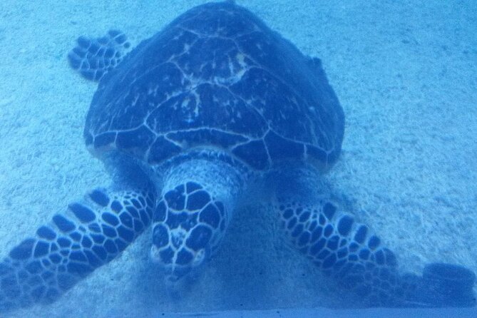 Hurghada Grand Aquarium - Directions