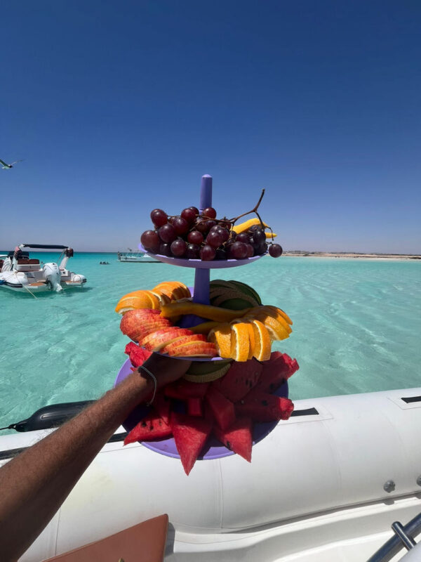 Hurghada Half-Day Red Sea Speedboat Tour with Fruits - Coral and dolphins: enjoy the chance, not a guarantee