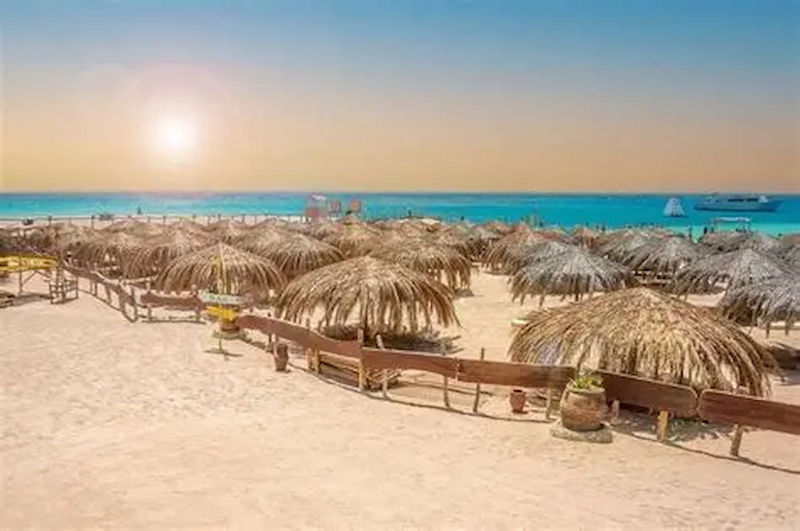 Hurghada Half-Day Red Sea Speedboat Tour with Fruits - Is $43.15 a fair starting price?