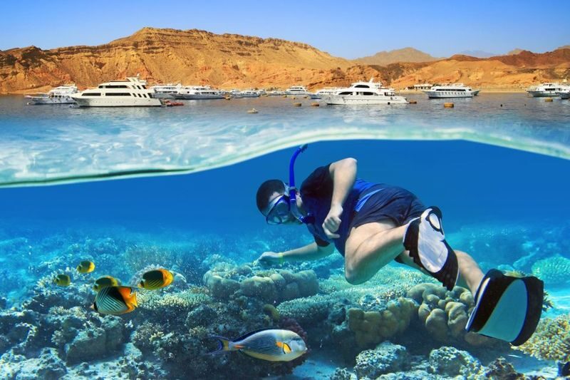 Hurghada Half-Day Snorkeling to Hula Hula Island - Should you book it?