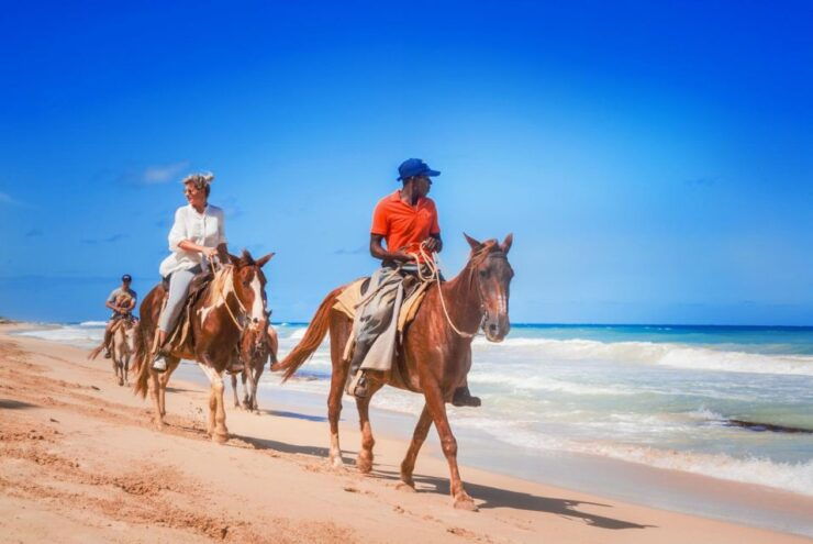 Hurghada: Horse Ride Along the Sea & Desert With Transfers - Booking Details