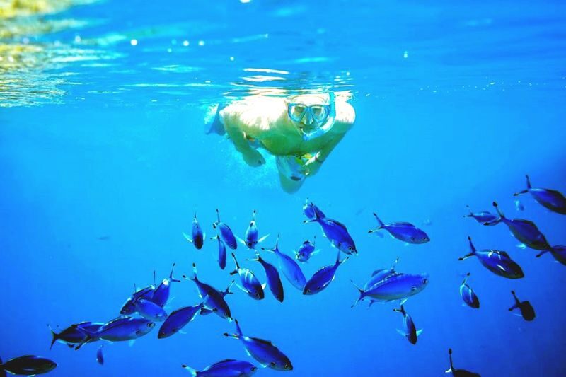 Hurghada Hula Hula Island Boat Tour - Should you book the Hula Hula boat trip?