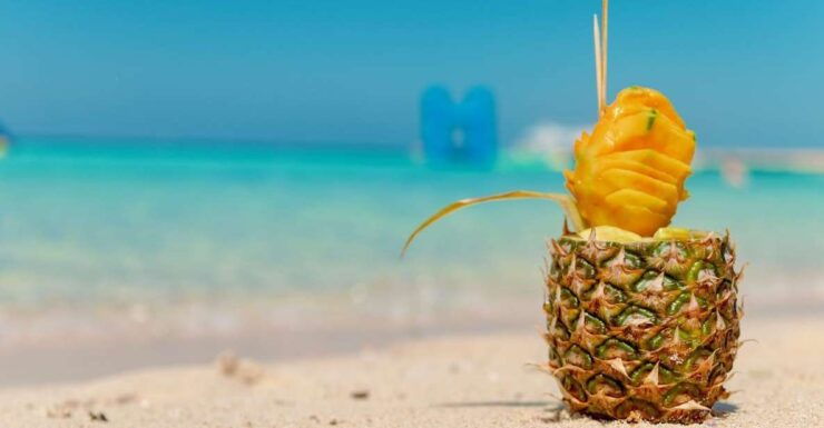 Hurghada: Magawish or Paradise Island Snorkeling Tour - Experience Highlights