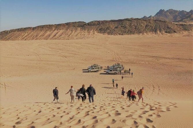 Hurghada Mega Desert Safari Quad Bike, 4W Jeep & Camel Ride - Cancellation Policy