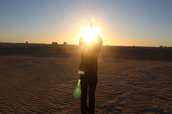 Hurghada Mega Desert Safari Quad Bike, 4W Jeep & Camel Ride - Pricing and Booking