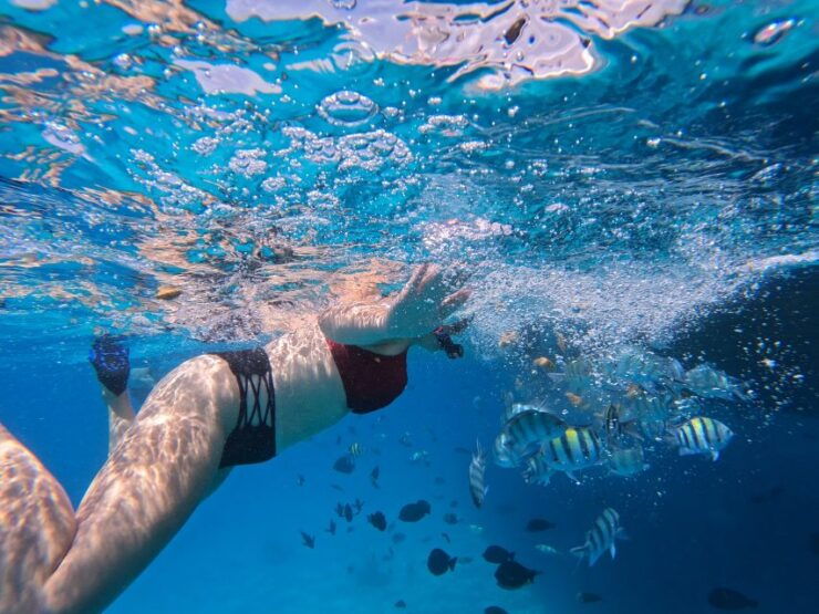 Hurghada: Morning ATV Quad & Speedboat to Magawish Islands - Booking Information