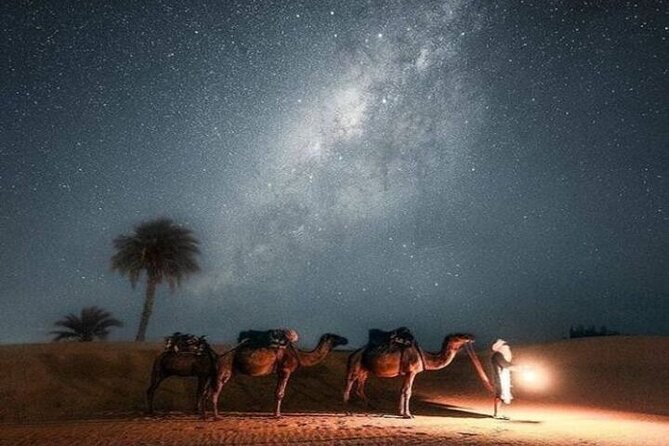 Hurghada Night Adventure JeepTour Stargazing and Dinner in Desert - Inclusions