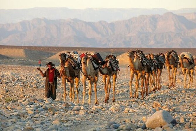 Hurghada Night Adventure JeepTour Stargazing and Dinner in Desert - Pricing and Cancellation