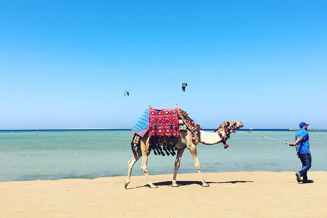 Hurghada & Nile Cruise Tour - Cancellation Policy