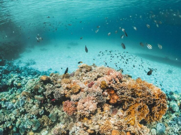 Hurghada: Orange Bay Private Yacht Cruise for Small Group - Experience Highlights