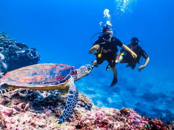 Hurghada: Orange Island Diving & Snorkeling Trip With Lunch - Booking Details