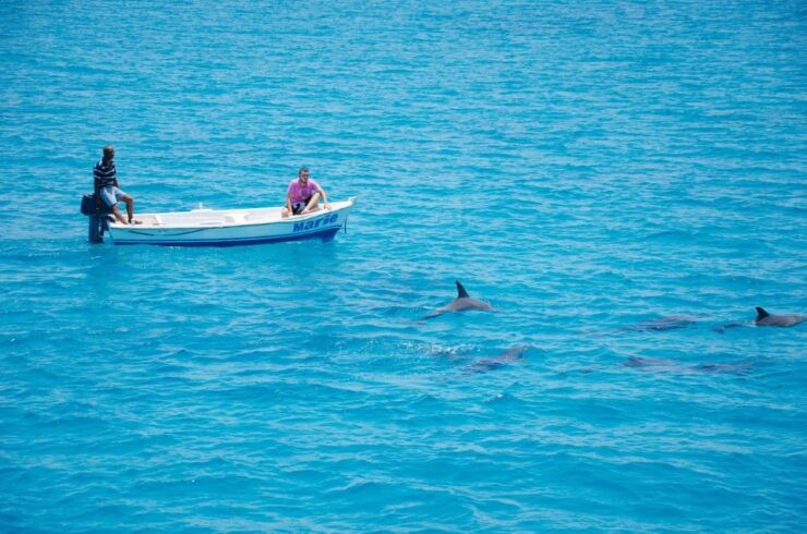 Hurghada: Orange Island & Dolphin Watching Snorkeling Trip - Full Description