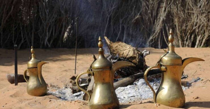 Hurghada: Orange Island, Grand Safari, Dolphin House Package - Booking Details for the Package