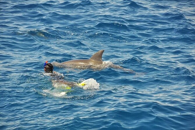 Hurghada: Orange Island Snorkeling Trip With Lunch - The Sum Up