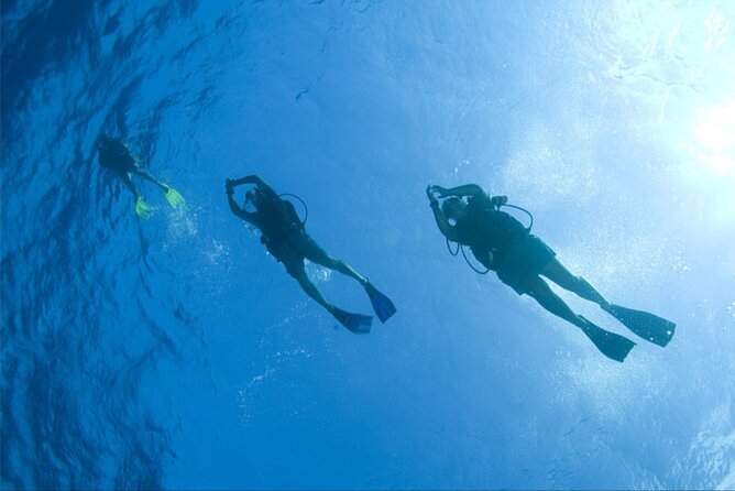Hurghada Overnight From Luxor Including Snorkeling Tour - Logistics