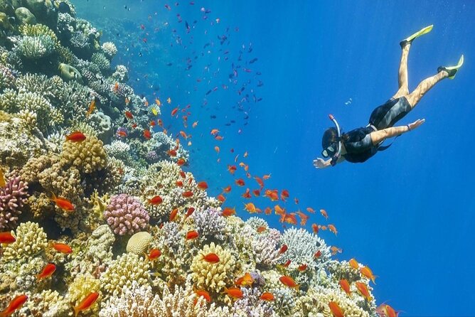 Hurghada Overnight From Luxor Including Snorkeling Tour - Itinerary
