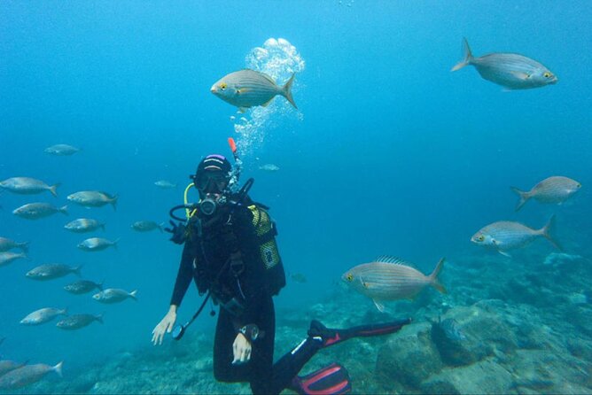 Hurghada Overnight From Luxor Including Snorkeling Tour - Meeting Points