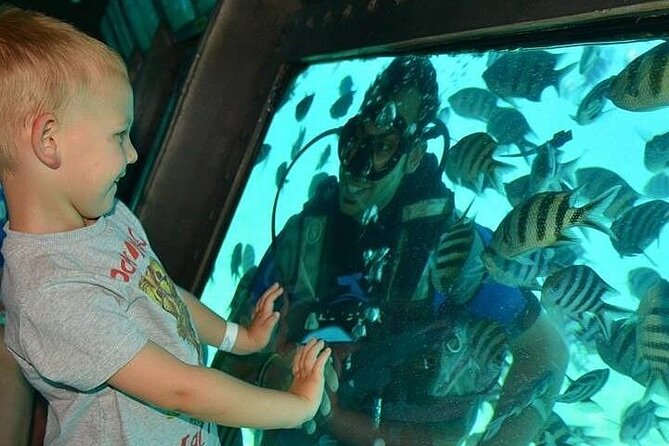 Hurghada Panorama Semi Submarine Snorkeling Cruise - Necessary Preparations