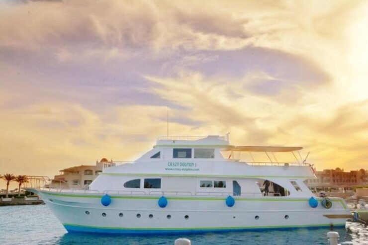 Hurghada: Paradise Island Snorkeling Trip - Experience Highlights