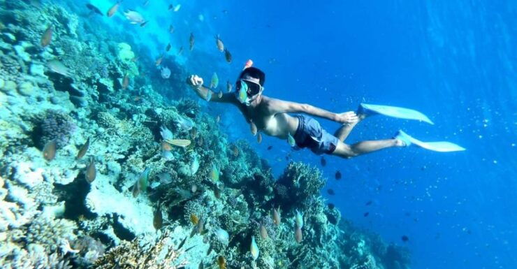 Hurghada: Private Snorkeling Trip to Utopia Island & Lunch - Booking Details for the Snorkeling Trip