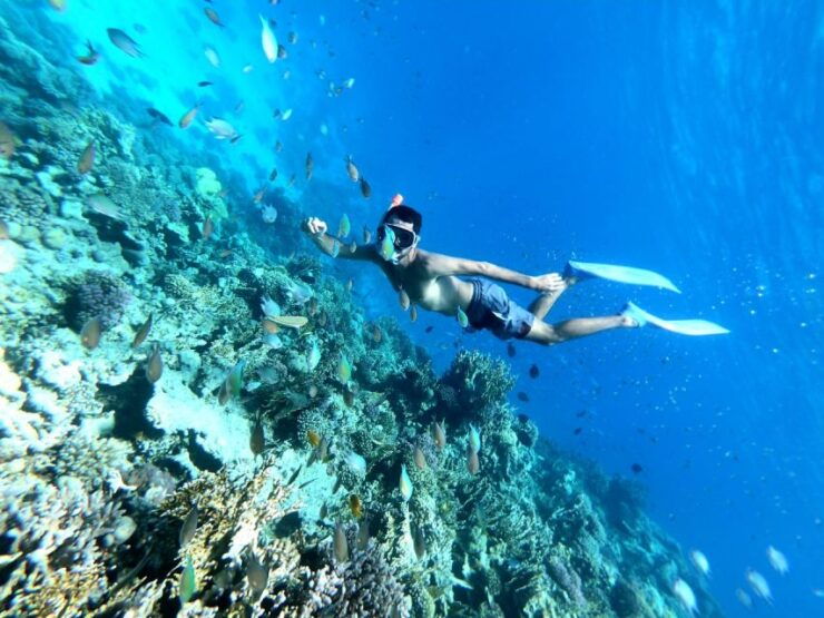Hurghada: Private Snorkeling Trip to Utopia Island & Lunch - Experience Highlights and Inclusions